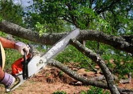 Soil Testing and Treatment in Ladonia, AL